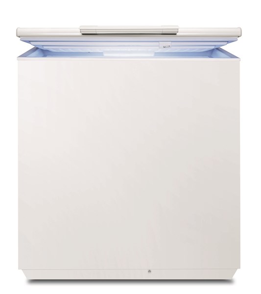 Electrolux EC2231AOW